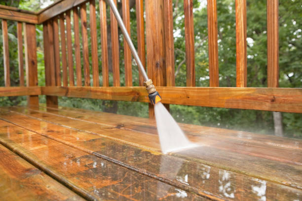 Best Local Pressure Washing Services  in Mancelona, MI